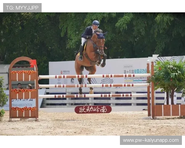 美国马术协会与国际马术联合会合作，举办国际马术交流活动，促进技术交流。